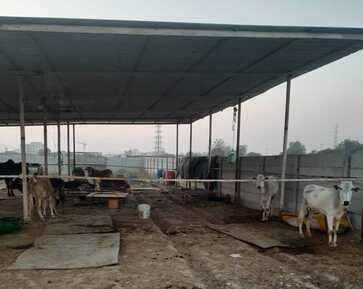 PFA Faridabad <span class="fw-500">Unit-II</span>